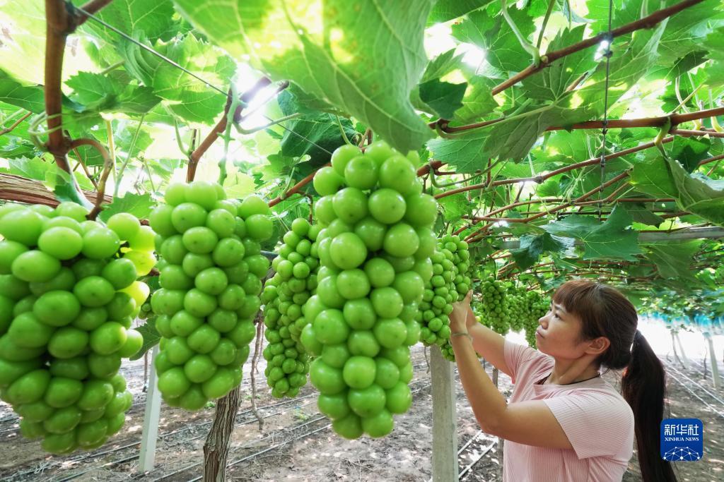 捕鱼游戏能赢的